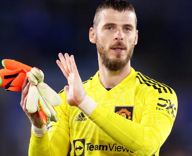 de-gea-toi-biet-la-hoi-kho-nhung-chi-can-mu-goi-toi-se-tro-lai-ngay-lap-tuc